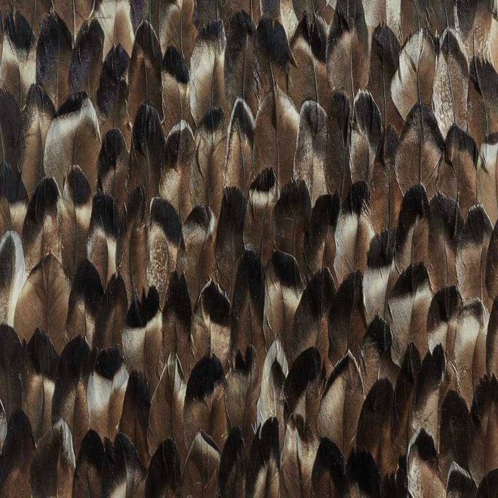 Schumacher Pyrite Black Smoke Wallpaper Sample 5008382