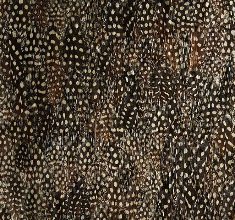 Schumacher Krypton Black Pearl Wallpaper Sample 5008390