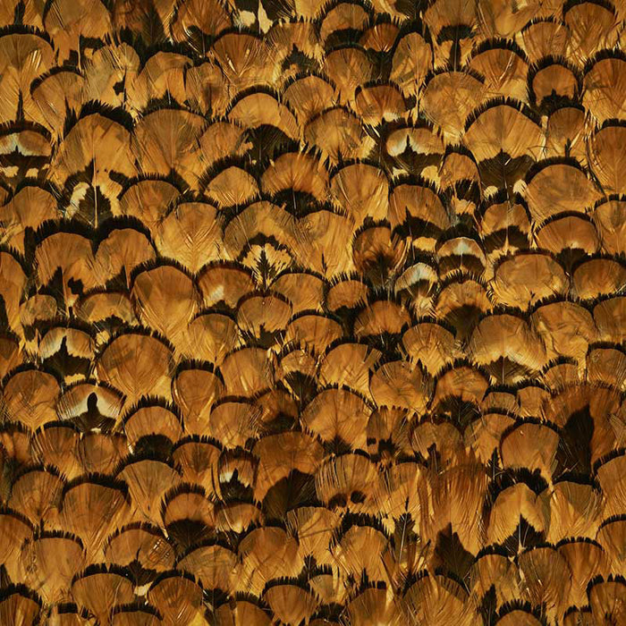 Schumacher Limonite Apricot Wallpaper Sample 5008392