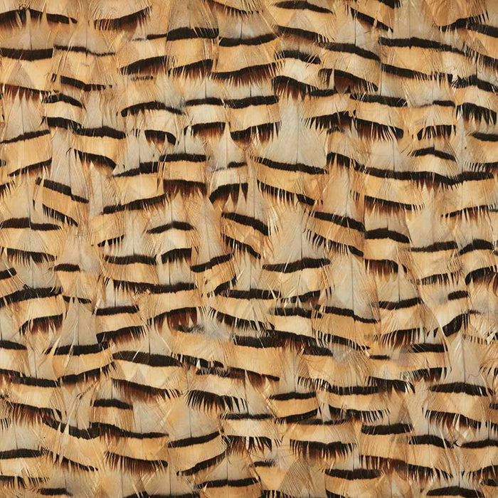 Schumacher Muscovite Cracker Khaki Wallpaper Sample 5008401