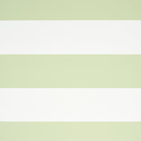 Schumacher Baxter Stripe Green Wallpaper 5008525