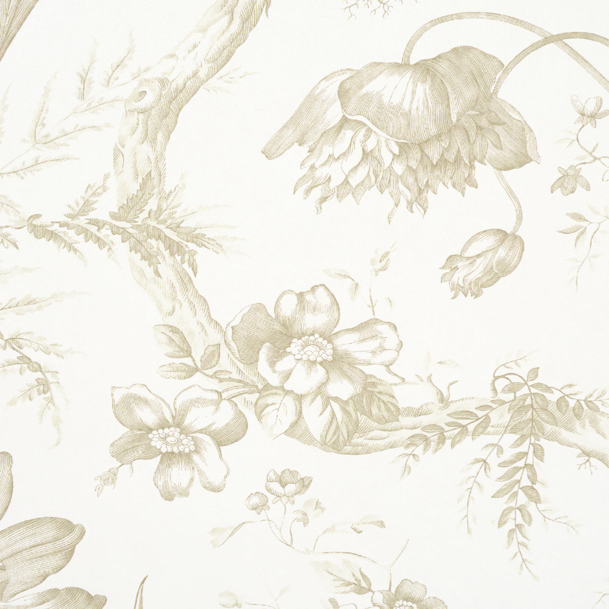 Schumacher Toile De Fleurs Birch Wallpaper Sample 5009125