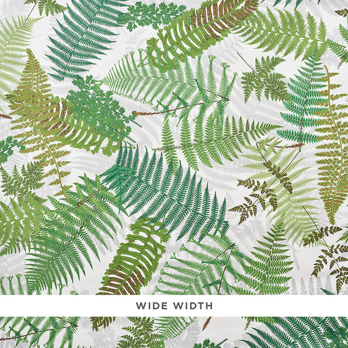 Schumacher Fernarium Ivory & Leaf Wallpaper Sample 5009190