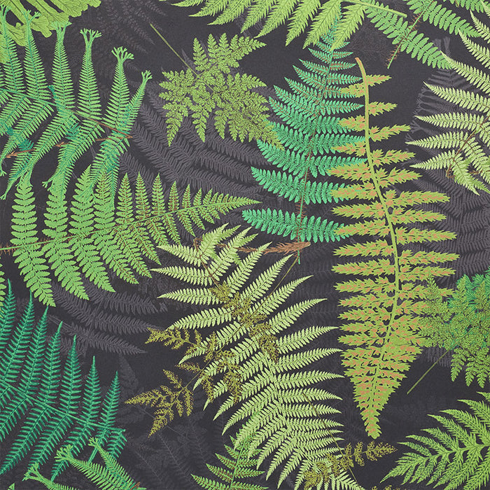 Schumacher Fernarium Black & Leaf Wallpaper Sample 5009191