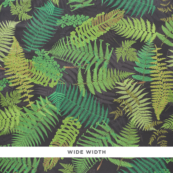 Schumacher Fernarium Black & Leaf Wallpaper Sample 5009191