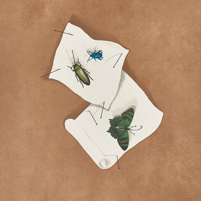 Schumacher Diana Multi Wallpaper Sample 5009340