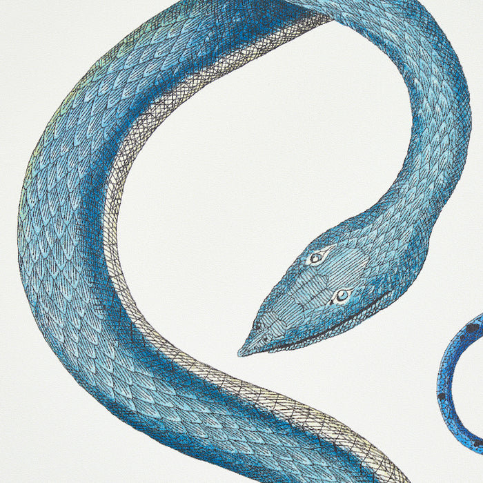 Schumacher Giove Emerald & Sapphire Wallpaper Sample 5009460