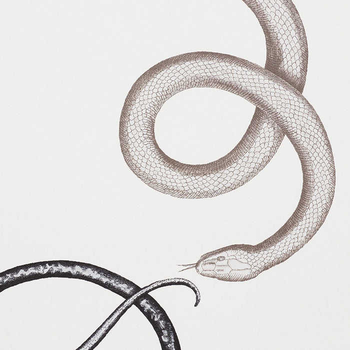 Schumacher Giove Agate & Onyx Wallpaper Sample 5009462