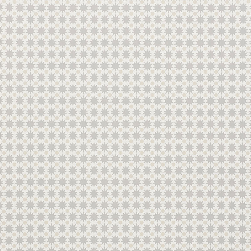 Schumacher Cosmos Neutral Wallpaper 5009562