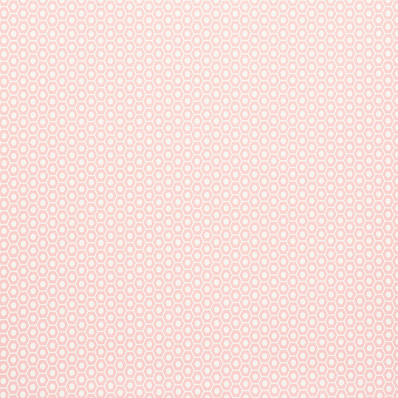 Schumacher Queen B Pink Wallpaper Sample 5009570