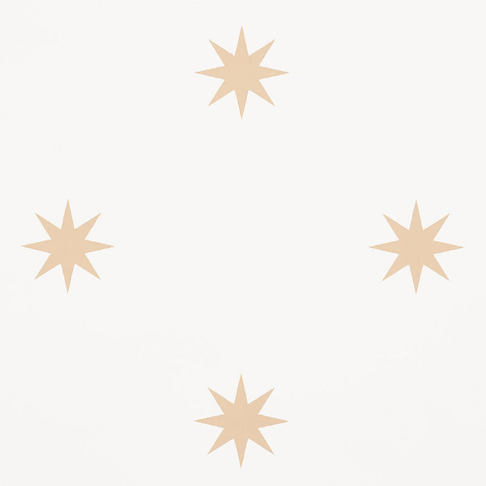 Schumacher Stargaze Bronze Wallpaper Sample 5009600