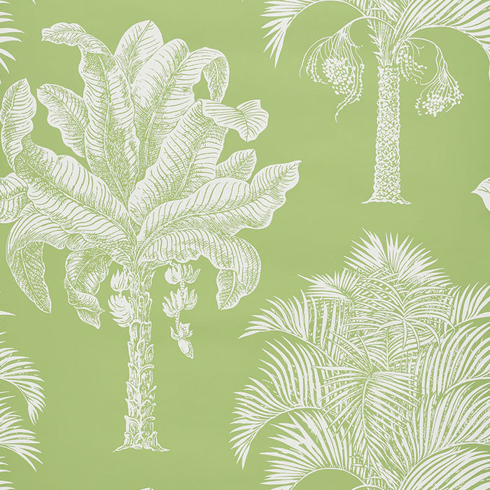 Schumacher Grand Palms Leaf Wallpaper Sample 5009620
