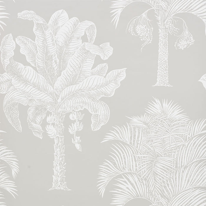 Schumacher Grand Palms Dove Wallpaper Sample 5009622