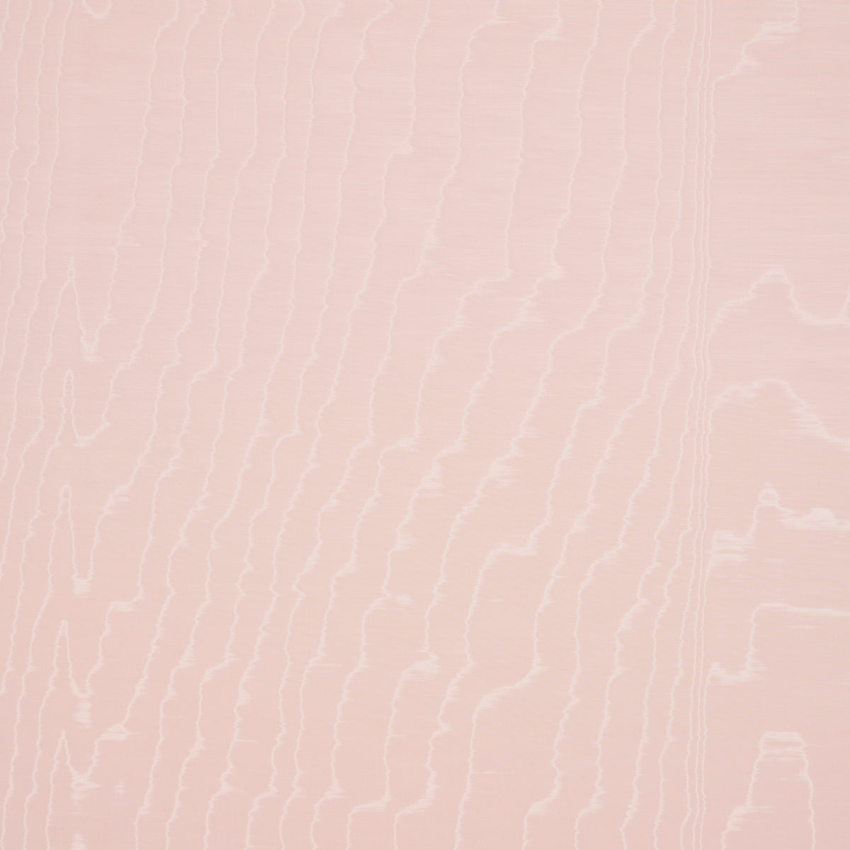 Schumacher Moire Wallcovering Rose Wallpaper Sample 5009675