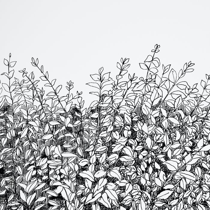 Schumacher Greenery Galore Vinyl Panel Black Wallpaper Sample 5010130