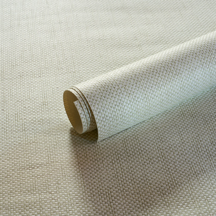 Schumacher Tonal Paperweave Sage Wallpaper 5010296