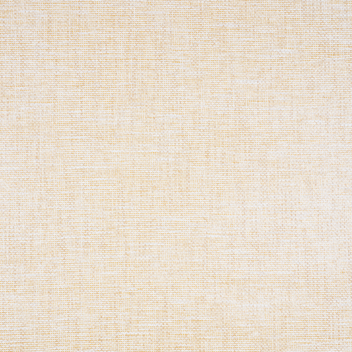 Schumacher Open Paperweave Straw Wallpaper Sample 5010320