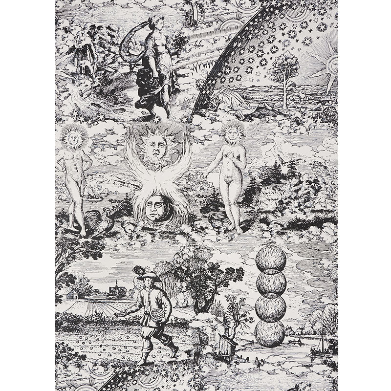 Schumacher Modern Toile Black Wallpaper Sample 5010420