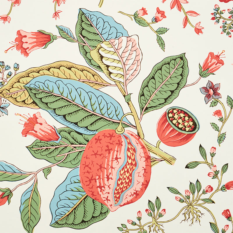 Schumacher Pomegranate Botanical Document Wallpaper Sample 5010441