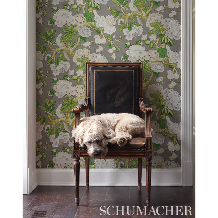 Schumacher Bermuda Blossoms Aqua 5010520 Wallpaper | 40% Off (Samples)