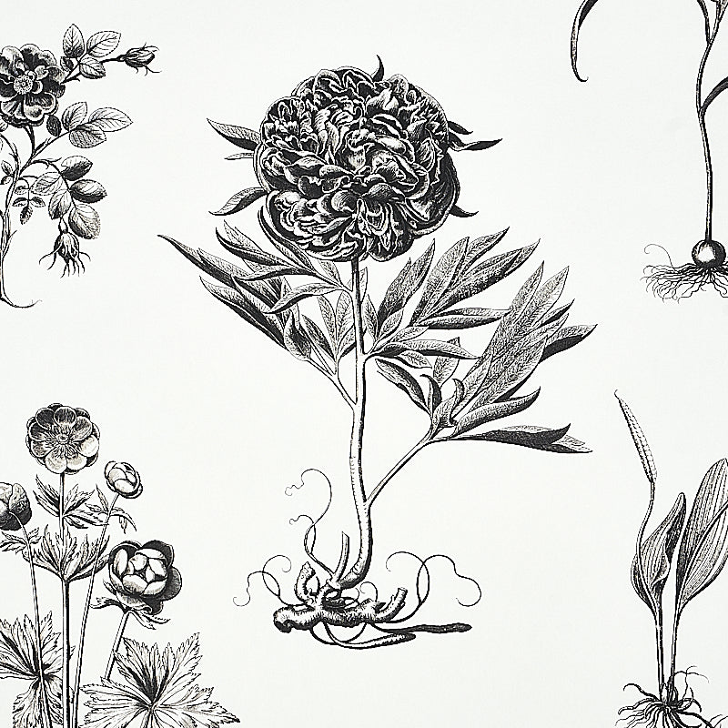 Schumacher Cabot Botanical Large Ivory Wallpaper Sample 5010640