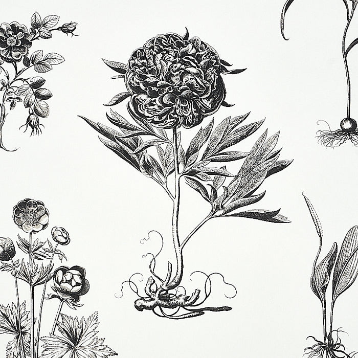 Schumacher Cabot Botanical Large Ivory Wallpaper Sample 5010640