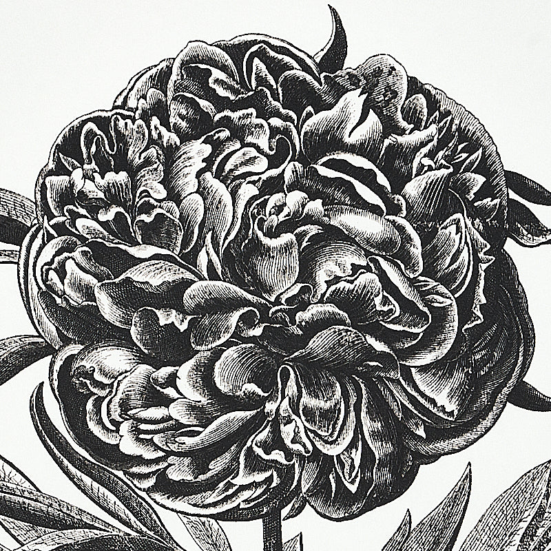 Schumacher Cabot Botanical Large Ivory Wallpaper Sample 5010640