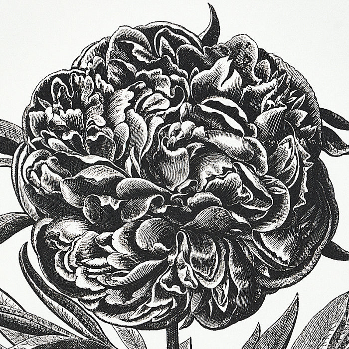 Schumacher Cabot Botanical Large Ivory Wallpaper Sample 5010640