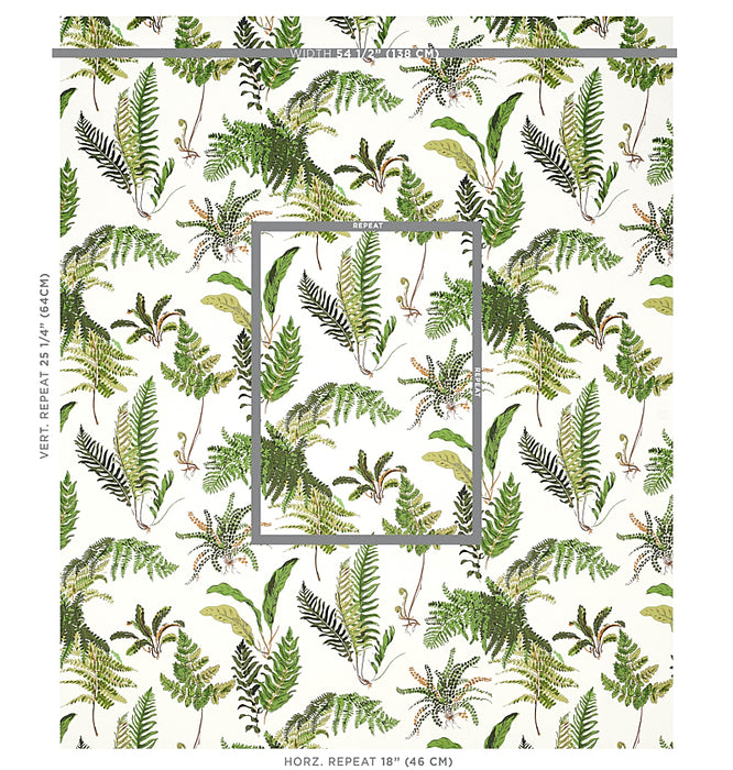 Schumacher Les Fougeres Document Wallpaper Sample 5010660