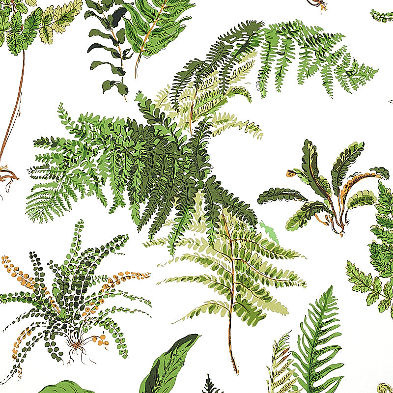 Schumacher Les Fougeres Document Wallpaper Sample 5010660