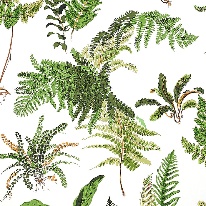 Schumacher Les Fougeres Document Wallpaper Sample 5010660