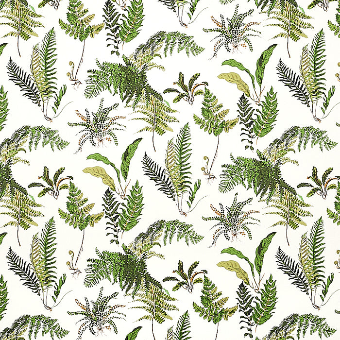 Schumacher Les Fougeres Document Wallpaper Sample 5010660