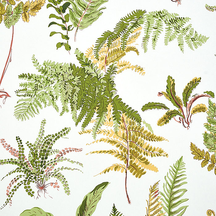Schumacher Les Fougeres Spring Wallpaper Sample 5010661