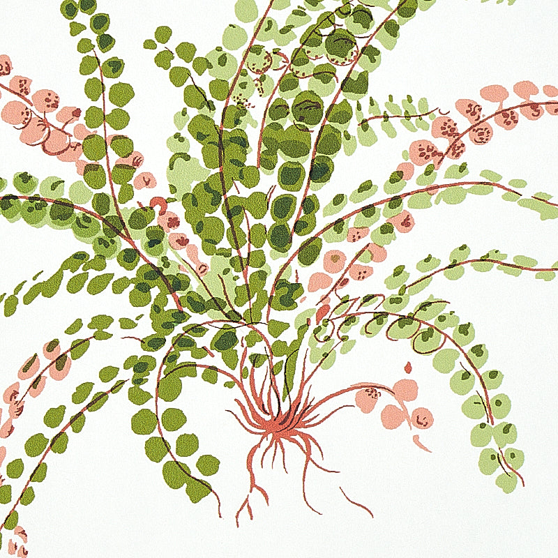 Schumacher Les Fougeres Spring Wallpaper Sample 5010661
