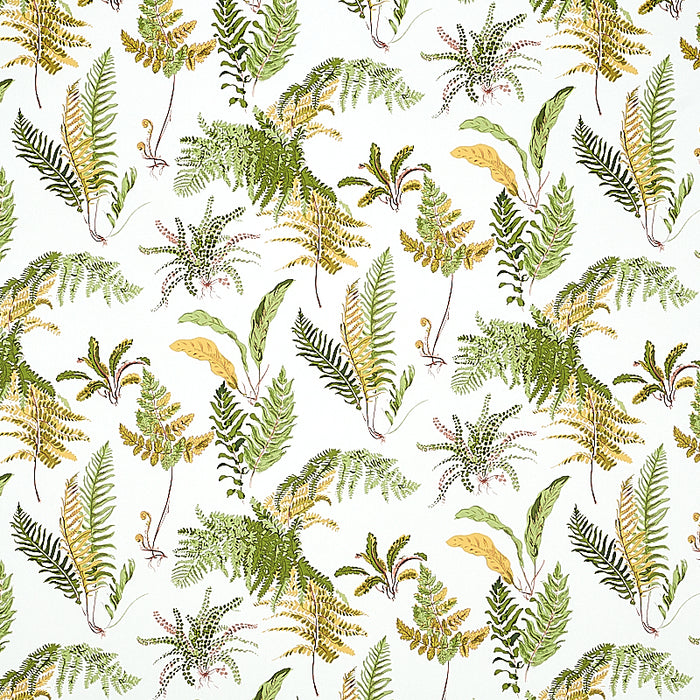 Schumacher Les Fougeres Spring Wallpaper Sample 5010661