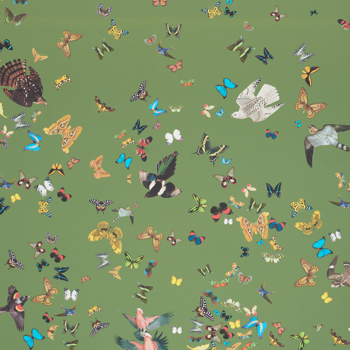 Schumacher Queen's Flight Panel Set Green Wallpaper Sample 5010860