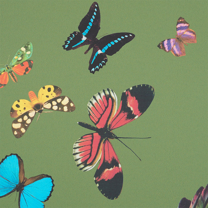 Schumacher Queen's Flight Panel Set Green Wallpaper Sample 5010860