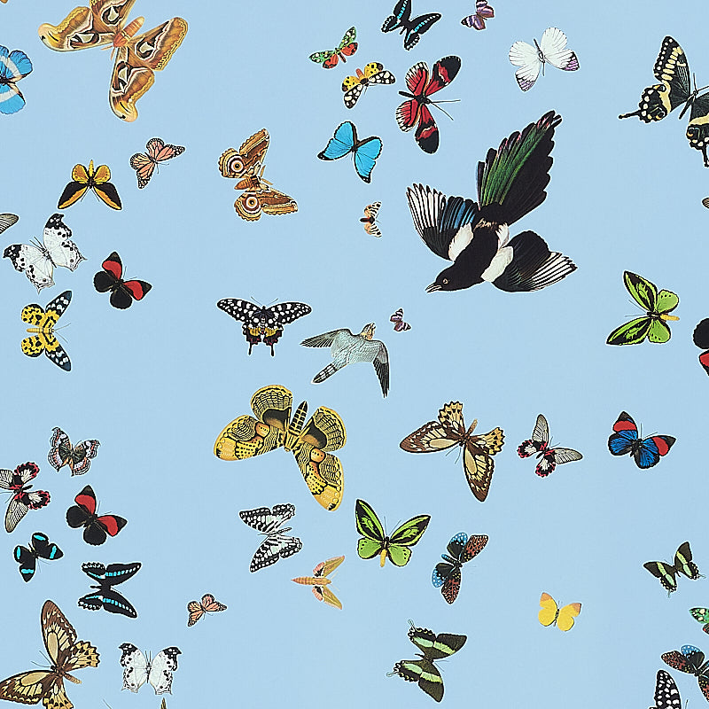 Schumacher Queen's Flight Panel Set Sky Wallpaper Sample 5010865