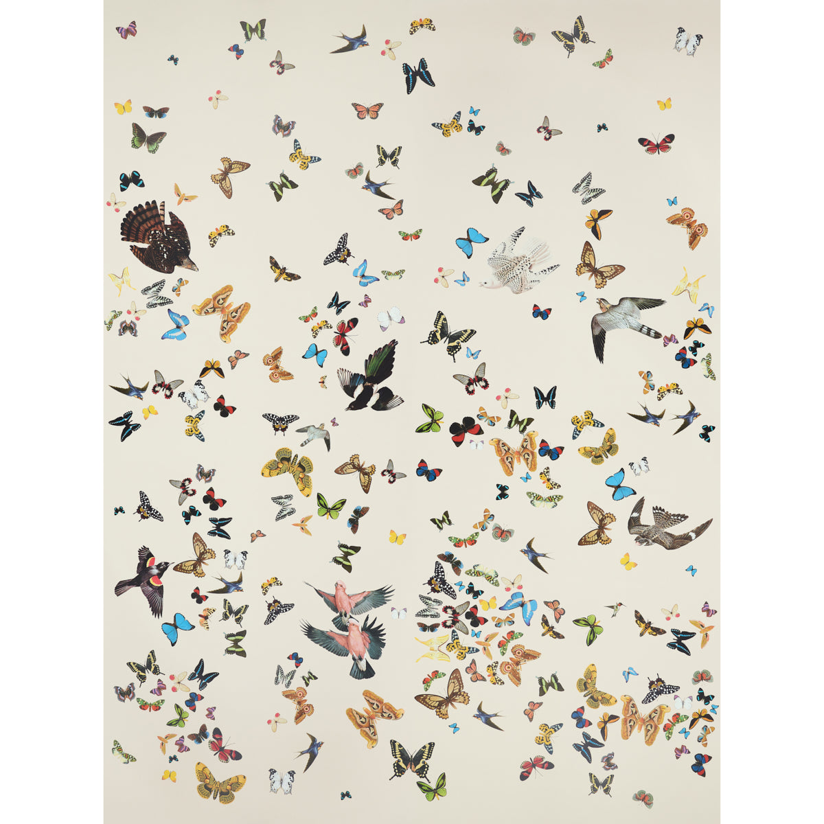 Schumacher Queen's Flight Panel Set Sand Wallpaper Sample 5010866