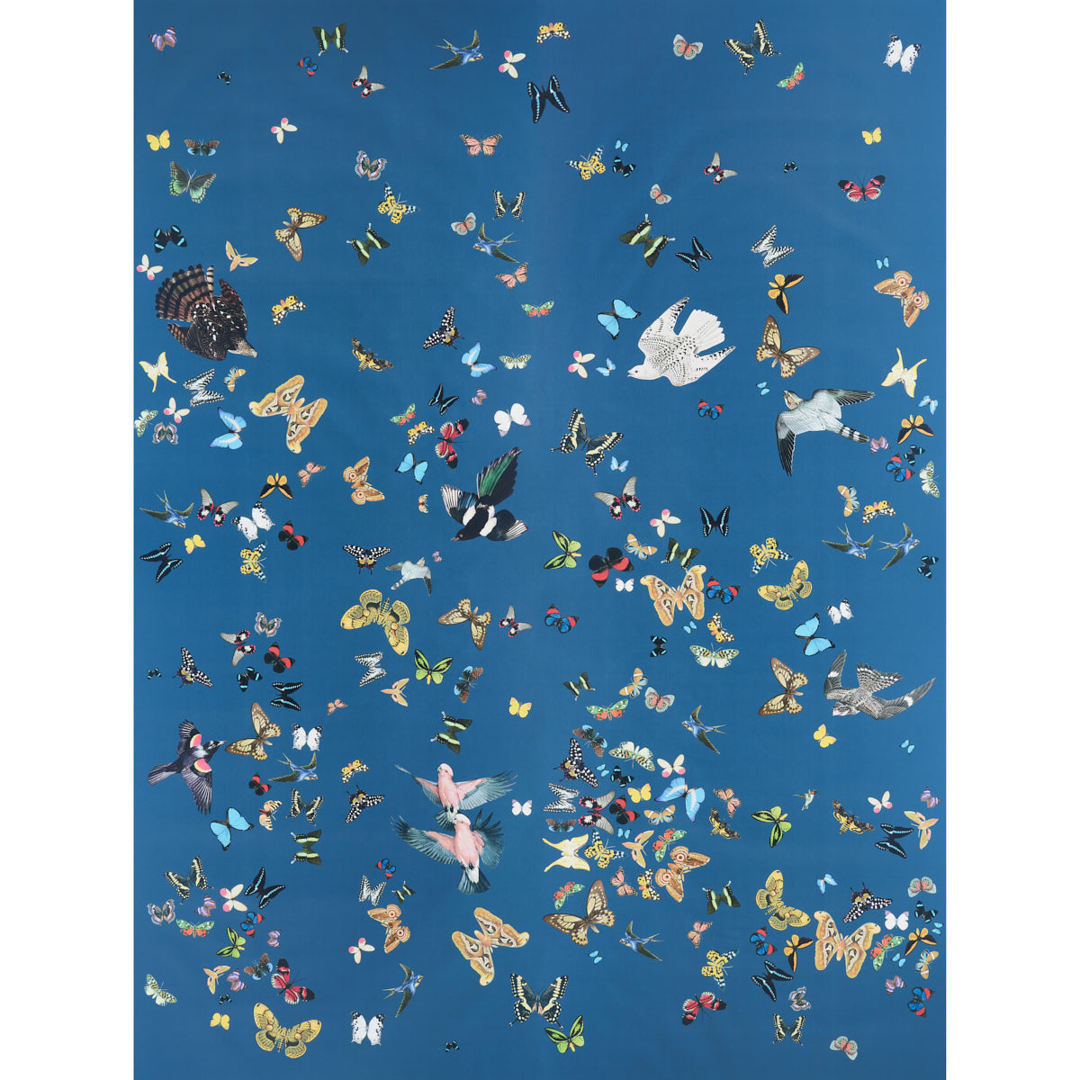Schumacher Queen's Flight Panel Set Navy Wallpaper Sample 5010867
