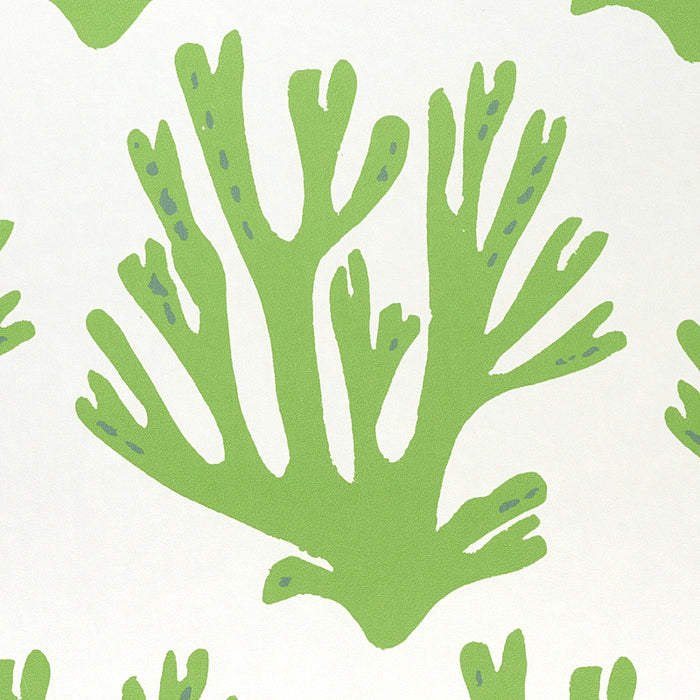 Schumacher Coral Green Wallpaper Sample 5011200