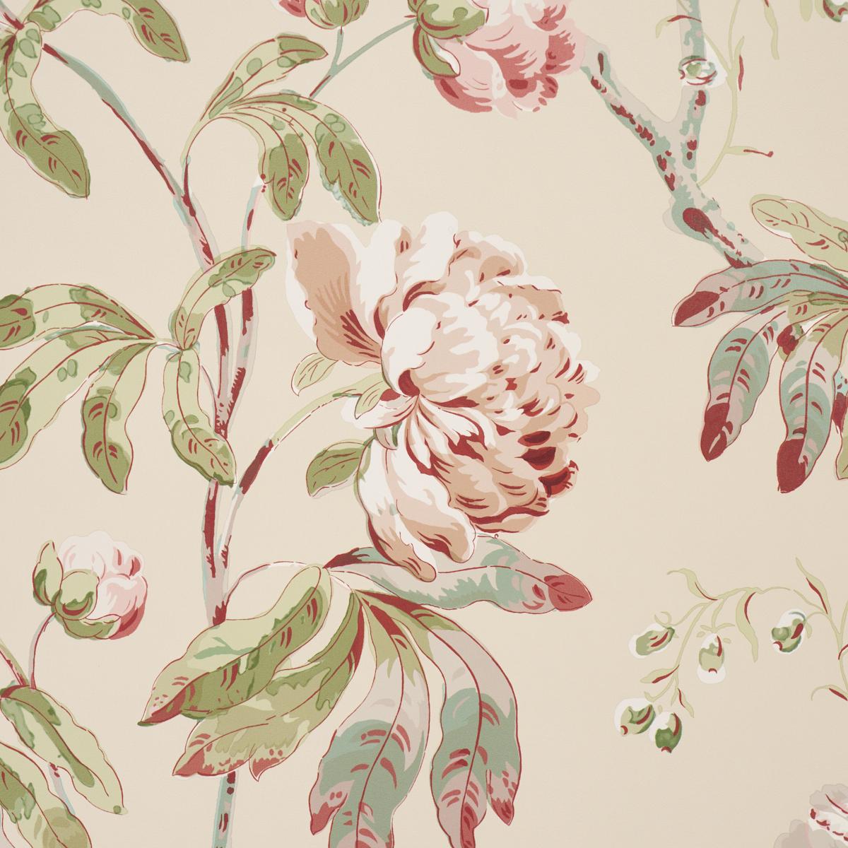Schumacher Daydream Pink Wallpaper Sample 5011404
