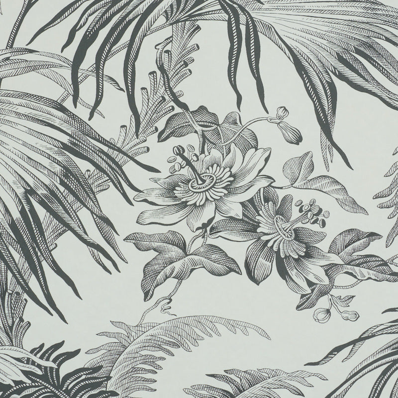 Schumacher Toile Tropique Black Wallpaper Sample 5011481