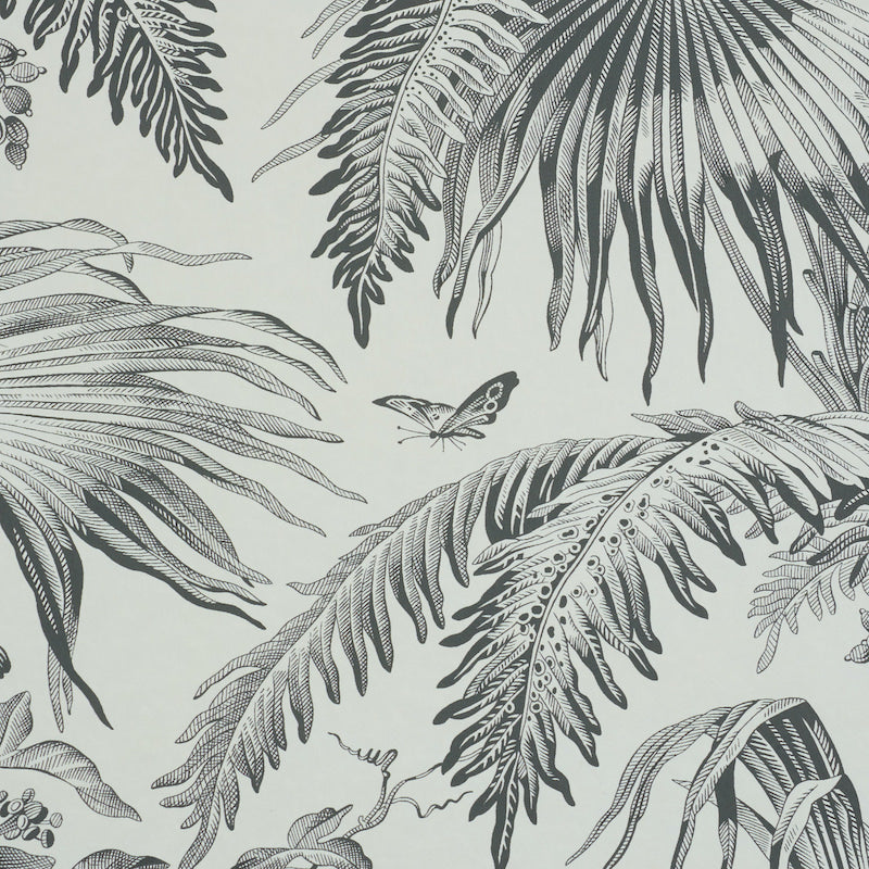 Schumacher Toile Tropique Black Wallpaper Sample 5011481