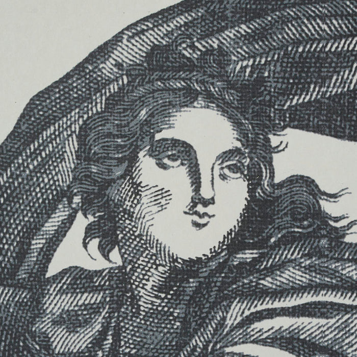 Schumacher Chariot Of Dawn Toile Panel Set Black Wallpaper Sample 5011500