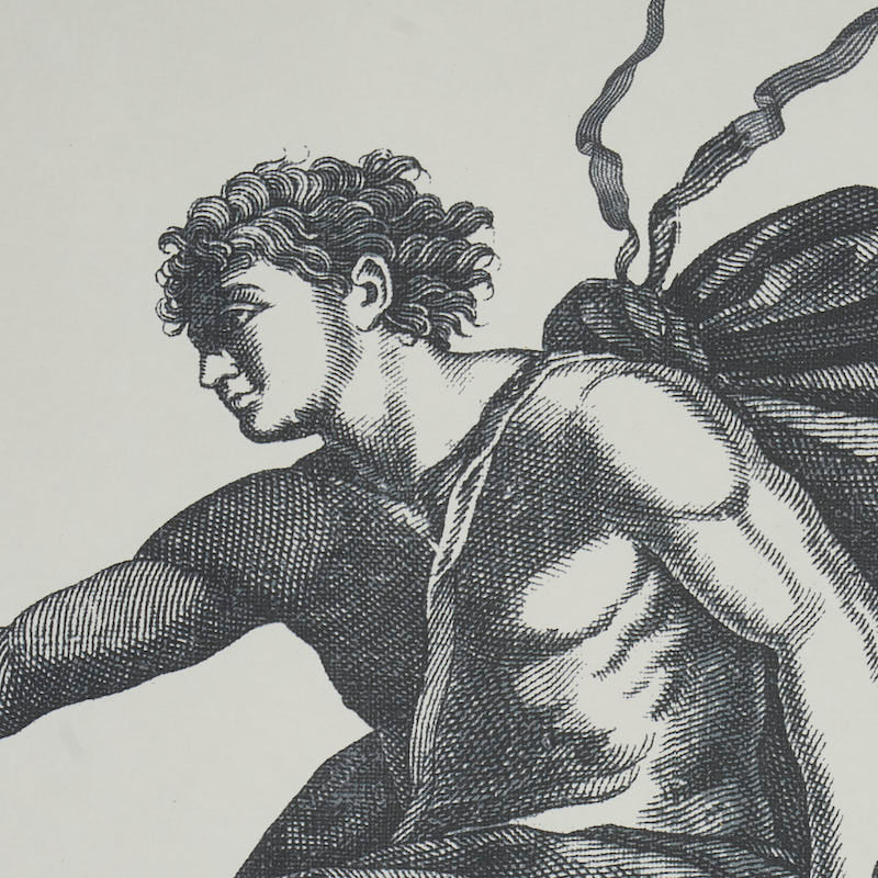 Schumacher Chariot Of Dawn Toile Panel Set Black Wallpaper Sample 5011500