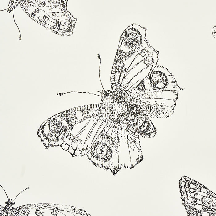 Schumacher Burnell Butterfly Ivory Wallpaper Sample 5011740