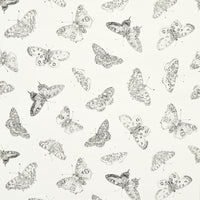 Schumacher Burnell Butterfly Ivory Wallpaper 5011740