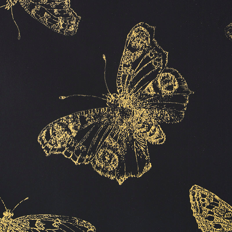 Schumacher Burnell Butterfly Black Wallpaper Sample 5011742