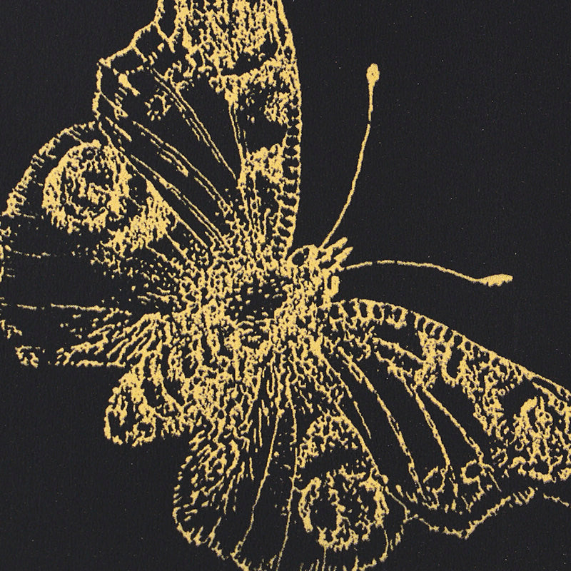 Schumacher Burnell Butterfly Black Wallpaper Sample 5011742